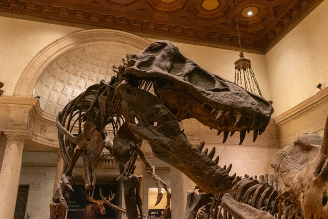 Natural History Museum of Los Angeles County